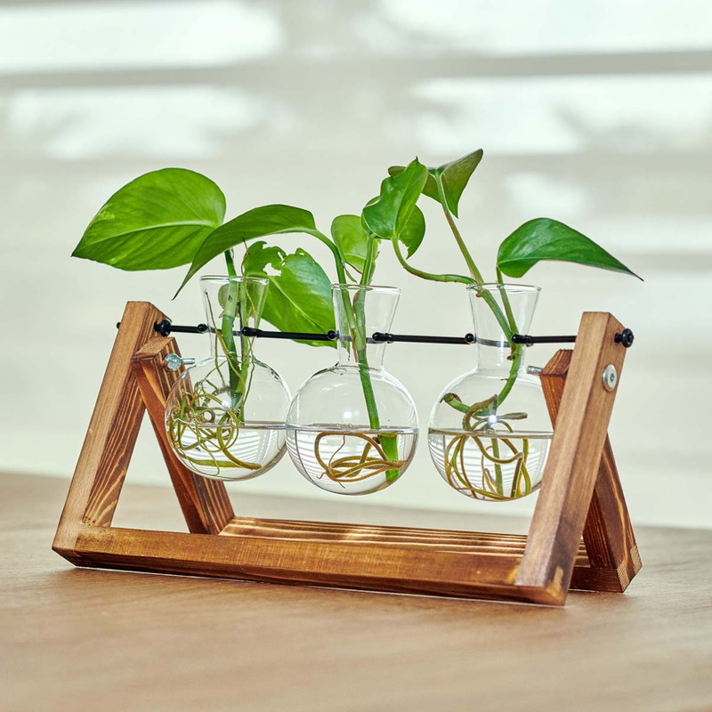 Hydra, Estación de propagación para 3 plantas