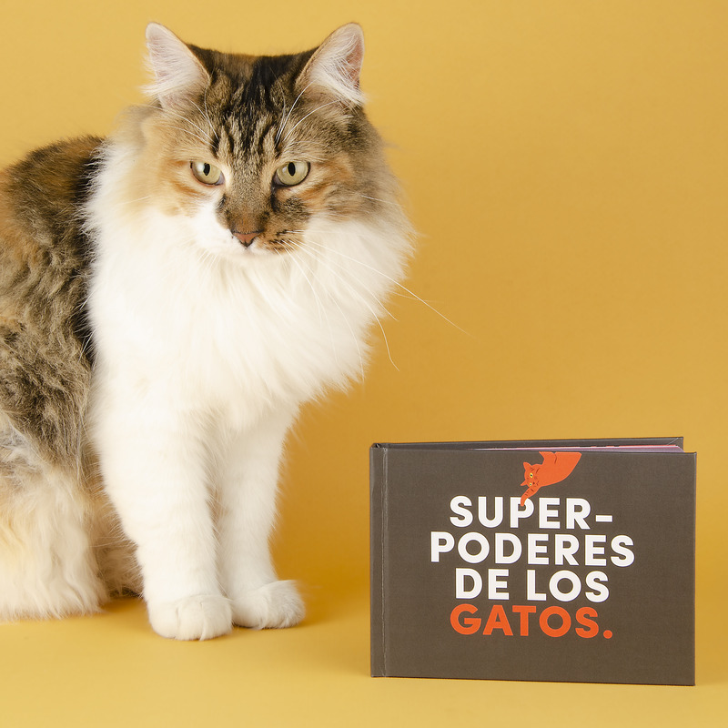 Librito Superpoderes de los gatos