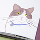 Librito Superpoderes de los gatos