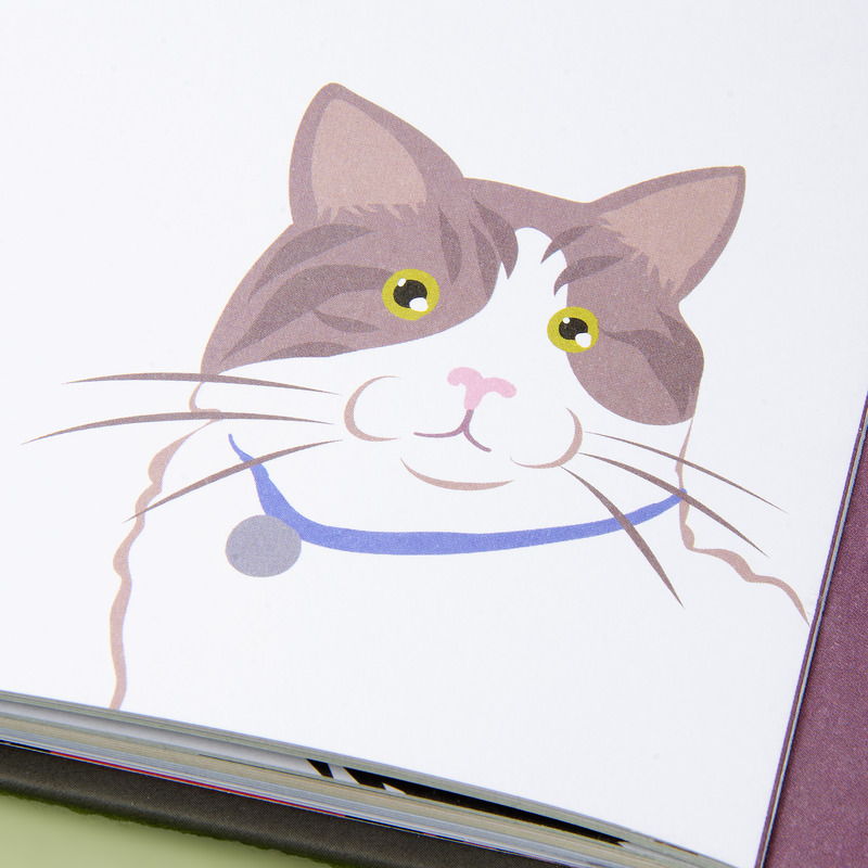 Librito Superpoderes de los gatos