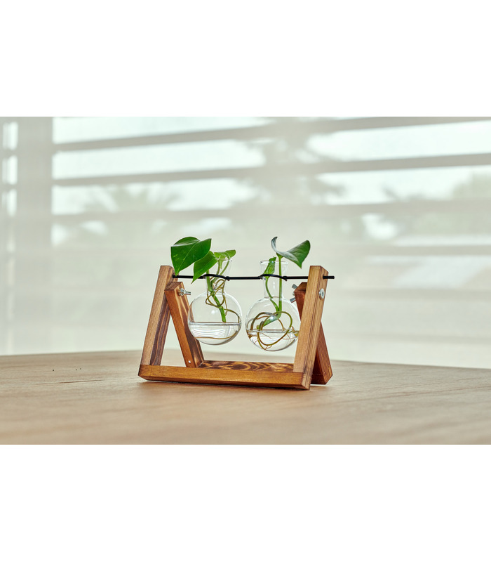 Hydra , Double station de propagation