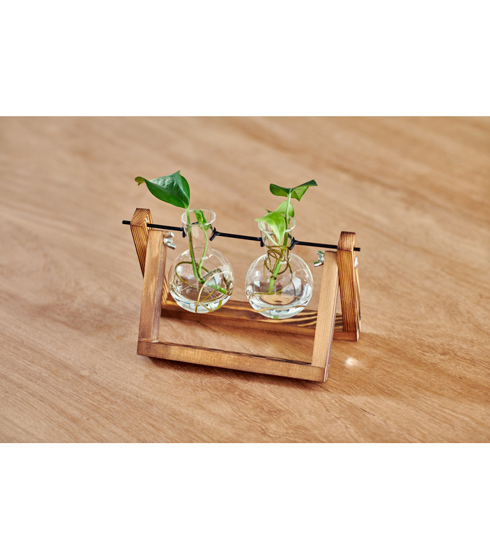 Hydra , Double station de propagation