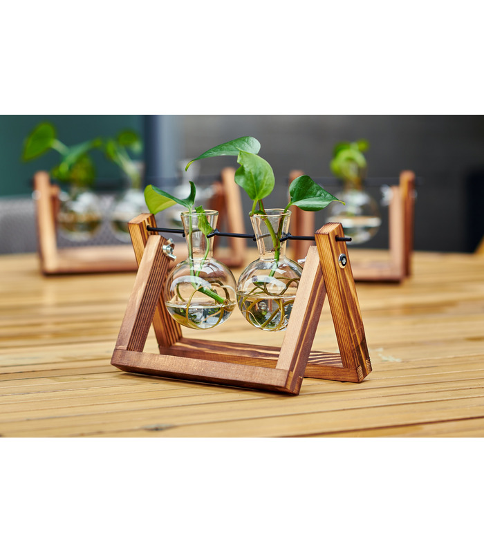 Hydra , Double station de propagation