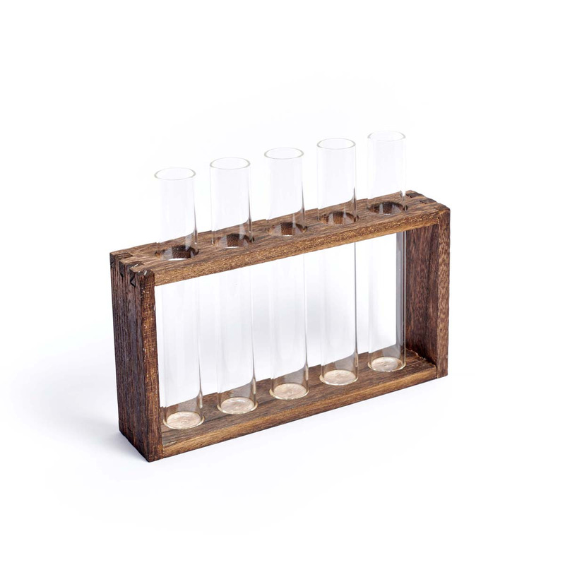 Provetta : station de multiplication des plantes avec 5 tubes à essai