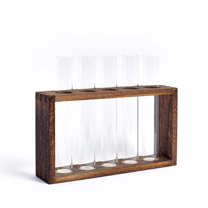 Provetta : station de multiplication des plantes avec 5 tubes à essai