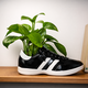 Walking Plant : pot de fleurs original en forme de basket