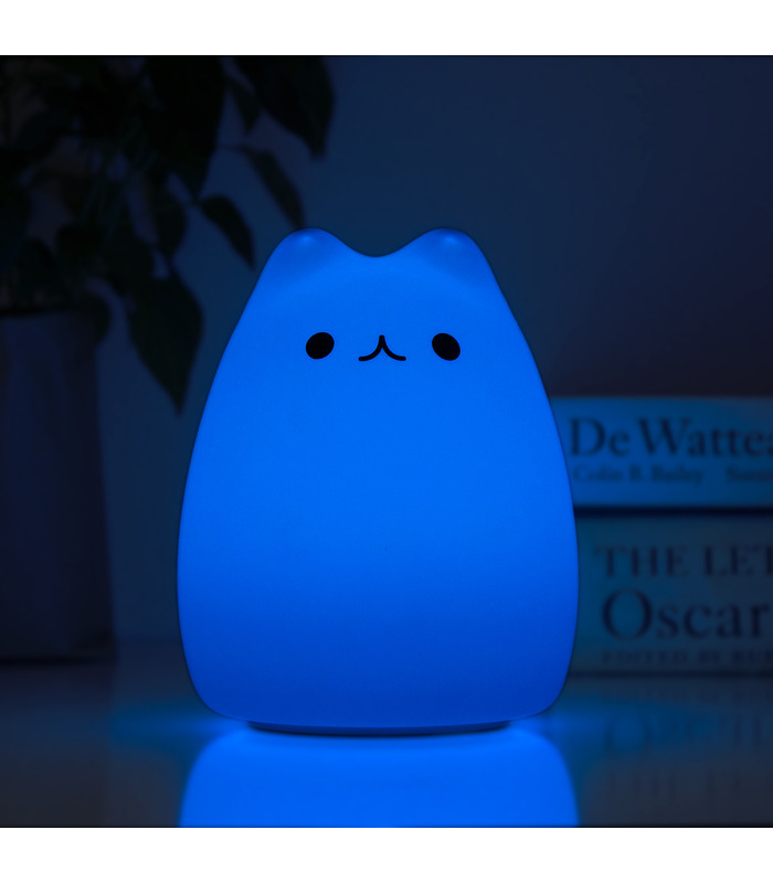 Minino. la plus belle lumière nocturne